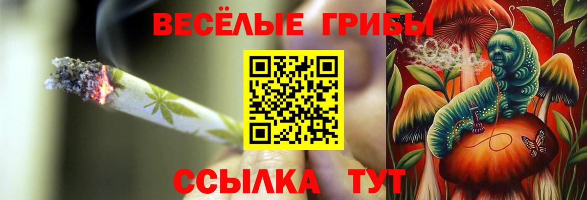 Балашиха  дарнет шоп  Вход с VPN  Галлюциногенные грибы мицелий 